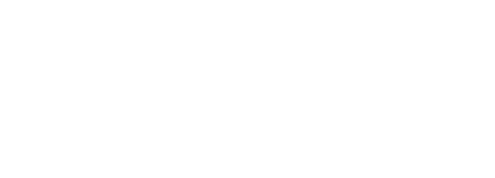 Princess Perfect Weddings